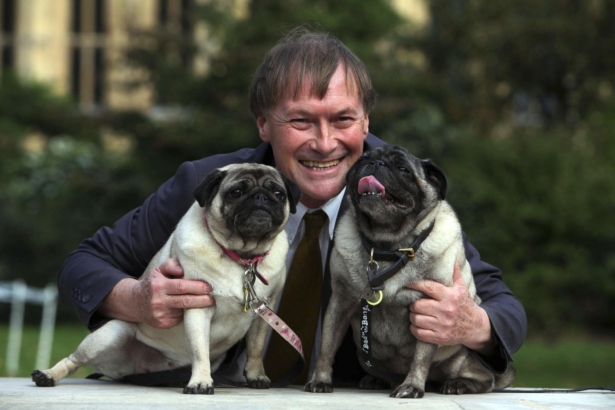 David Amess with dogs