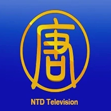 Chinese NTD App