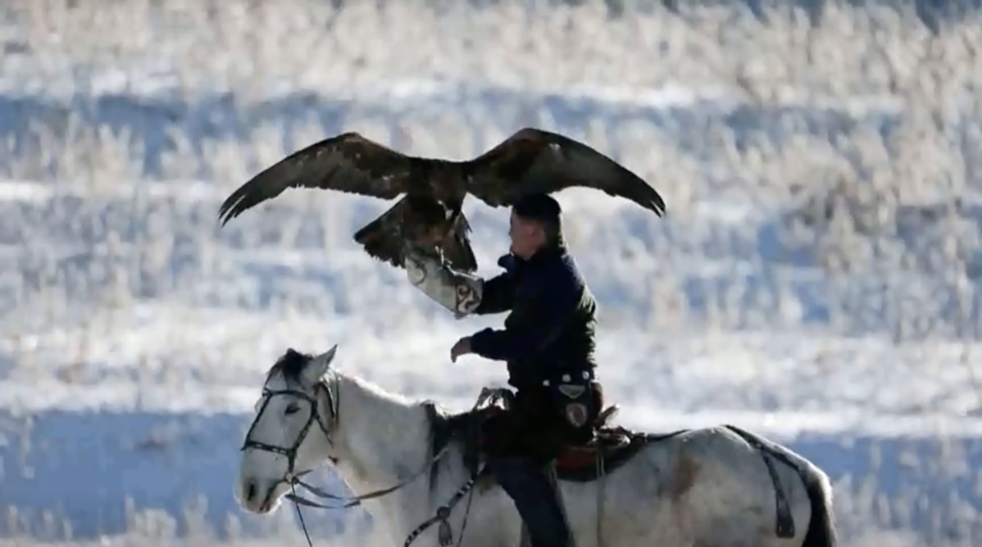 Kazakhstan Eagle Hunters Showcase Tradition