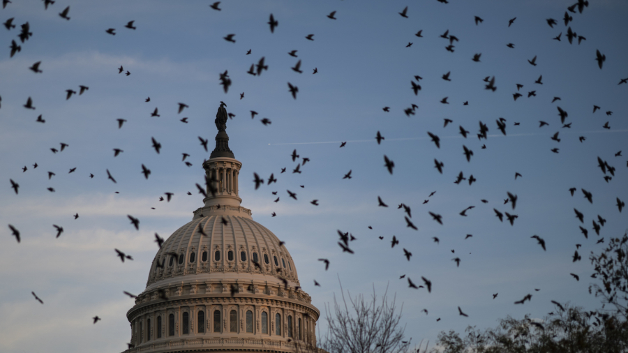 House Passes Stopgap Spending Bill to Avert Government Shutdown