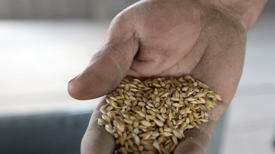 25 Million Ton Backlog of Grains Blocked From Being Exported out of Ukraine: UN Food Agency