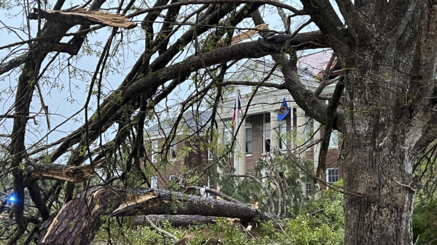 2 Killed in Georgia, Texas as Damaging Storms Strike South