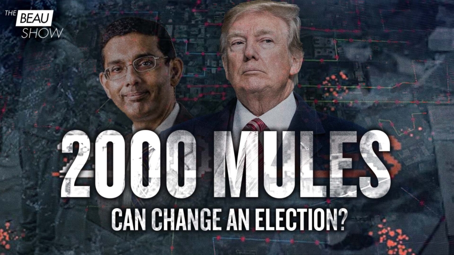 Can 2000 Mules Change an Election?