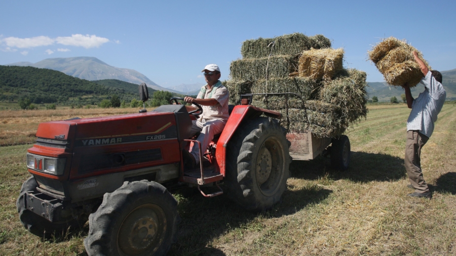 Albania Farmers Struggle With Price Hikes