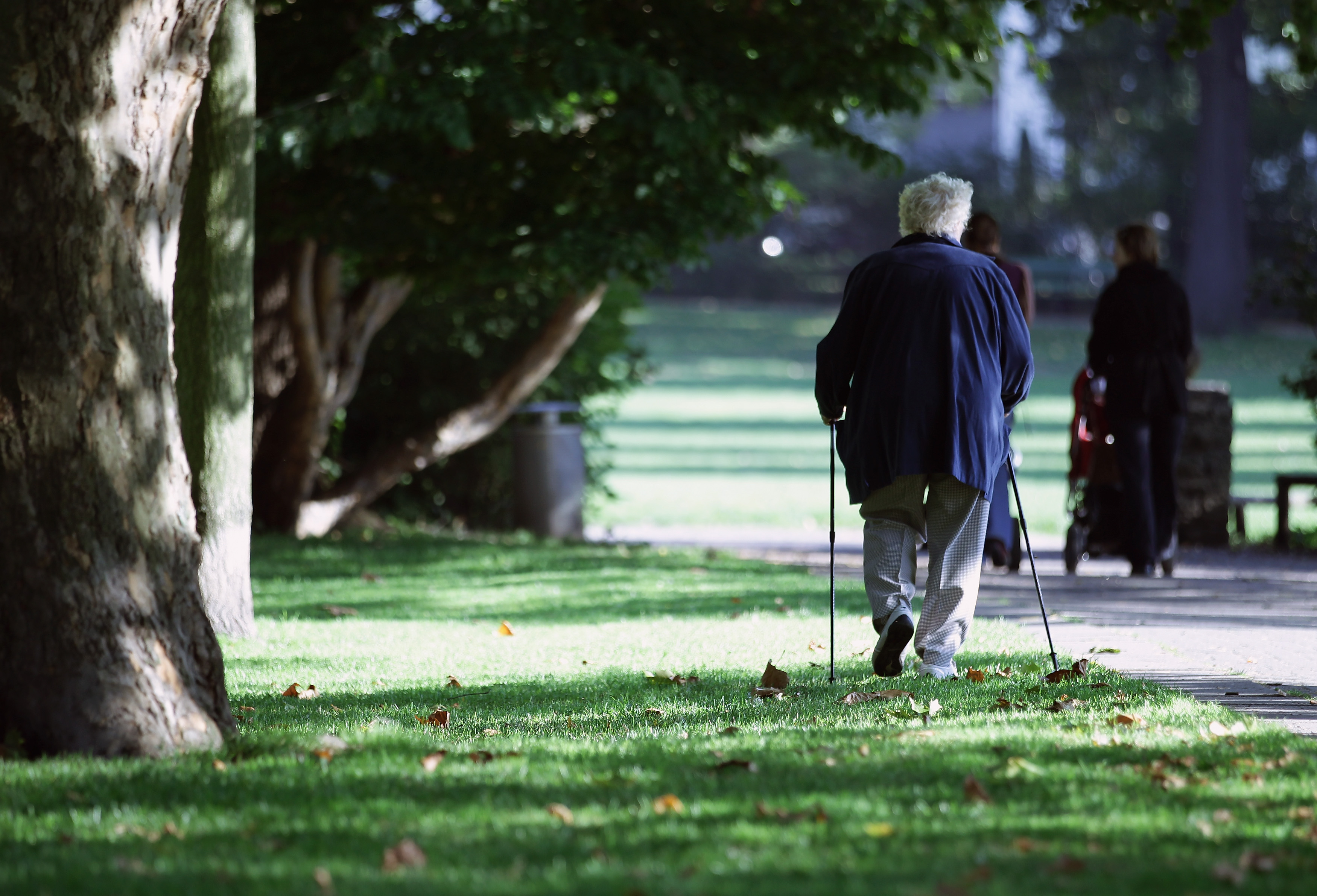 Scientists Study Old Age And Exercise TrendRadars