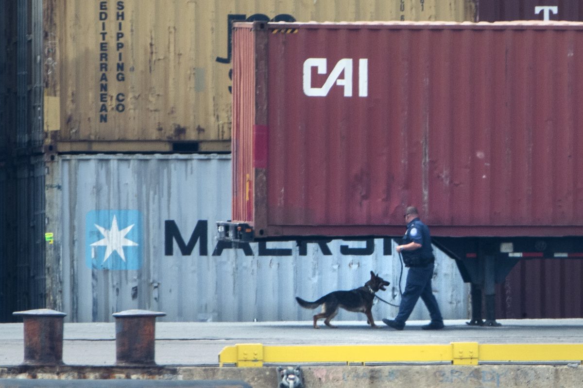 An officer with a dog inspects a container