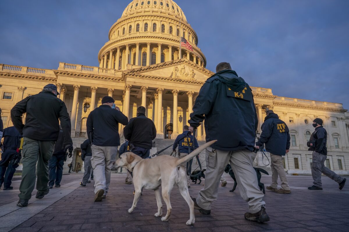 Federal K-9 units prepare
