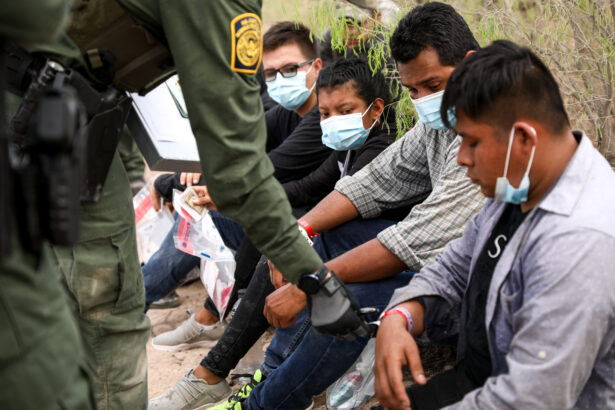 checks an illegal immigrant