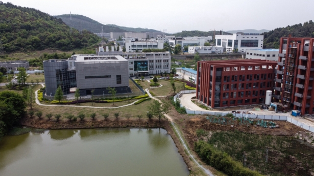 Wuhan lab