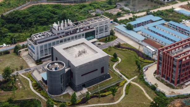wuhan institute of virology